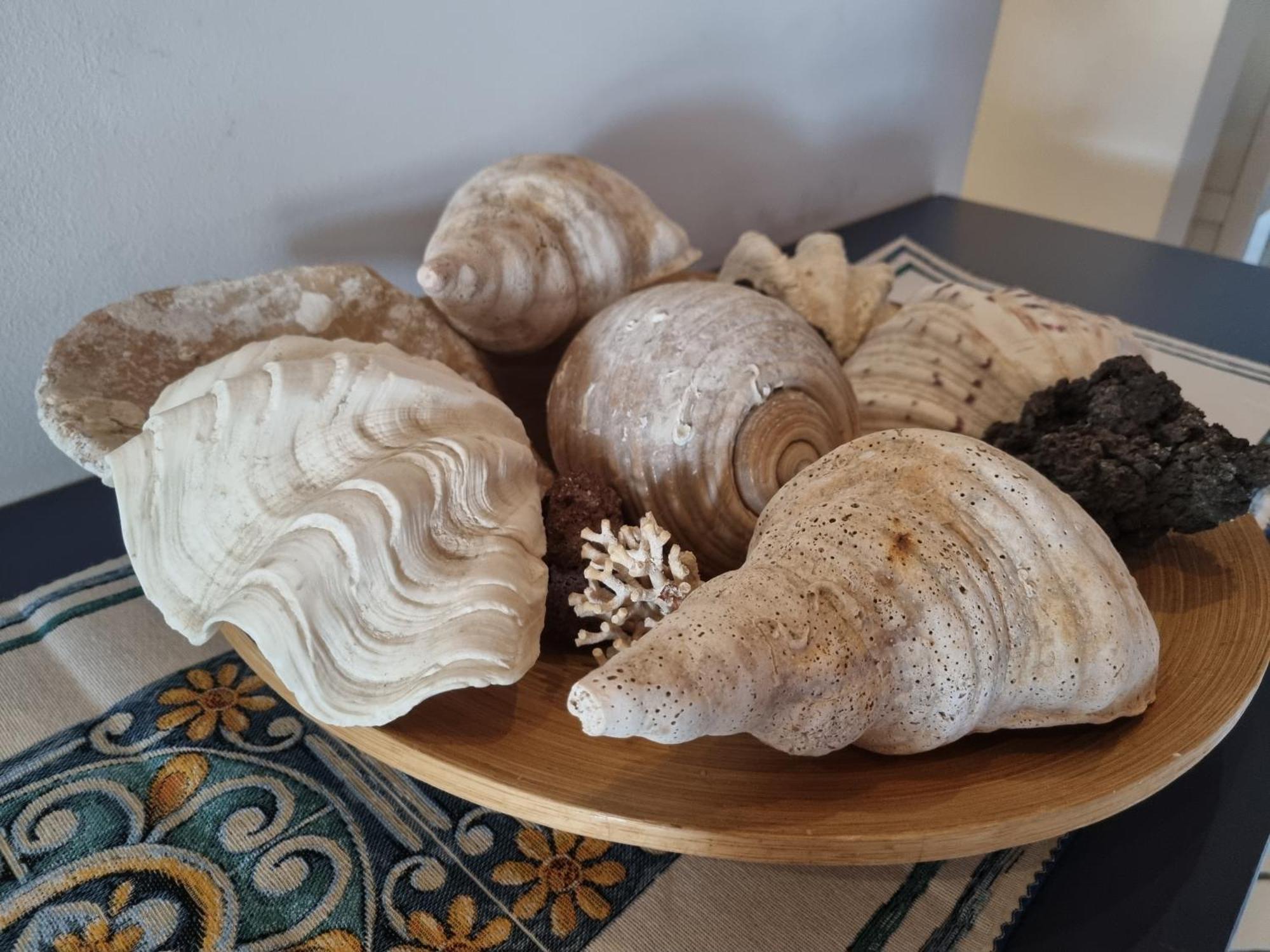 Villa Sicily Sul Mare Tra Catania E Siracusa アウグスタ エクステリア 写真